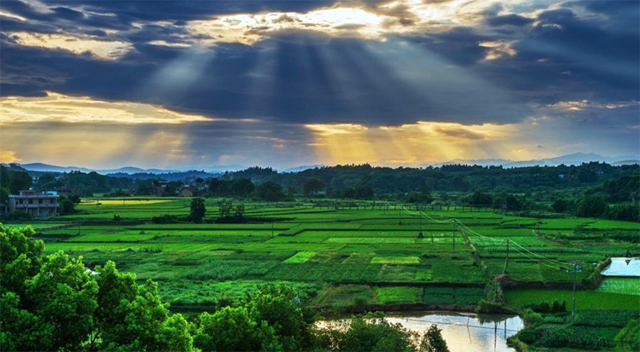 湖南祁陽(yáng)加盟巨奧集成頂墻